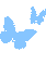 ButterFlyBleu