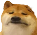 DoggySad