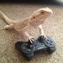 gaming_lizard Discord emoji