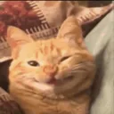 1111CUTESTCATEVER