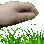 touchgrass