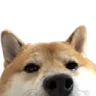 doglurk