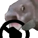 fishsteer