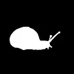 snail