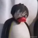 emo_noot