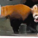Ahhh