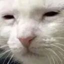 atwhatcost atwhatcost