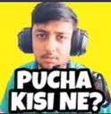 as_Pucha_kisine