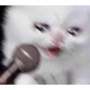 catcrymic