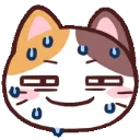kitty_calico_sweat Discord Emoji