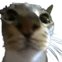leowhar leowhar