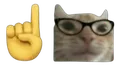 NerdgeCat