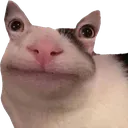 5_cat_eyes_on_ears