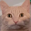 headempty