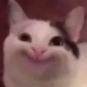 ha