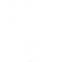 South_America