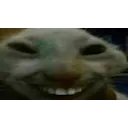 xdd