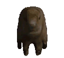 SCP956CapybaraSpin