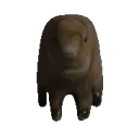 SCP956CapybaraSpin