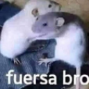 RT_fuersabro Discord emoji