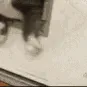 FatCatSummon4