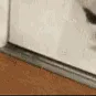 FatCatSummon3
