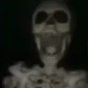 skull