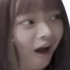 hannipog hannipog