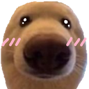 dog_blush Discord emoji