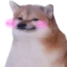 dDoge_blush