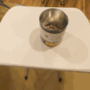 TCC_tableflip Discord emoji