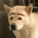 __