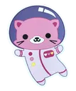 space_cat