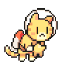 space_cat