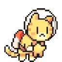 space_cat