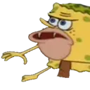 O_