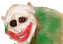 jokermonkey