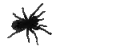 bug bug