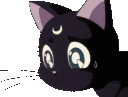 black_sadcat Discord Emoji