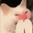mo2