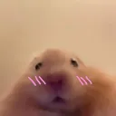emoji4