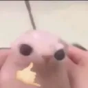 3_