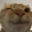 1_