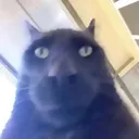7e