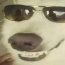 8ee