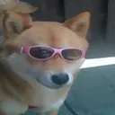 9e