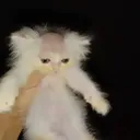 10e