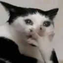 16e