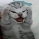 17e