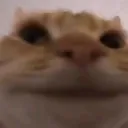 2e